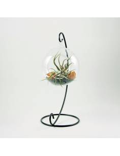 Terrario soporte metal