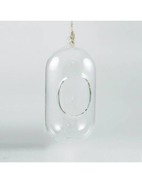 Terrario cristal cápsula 10x22cm