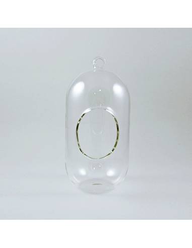 Terrario cristal cápsula 10x22cm