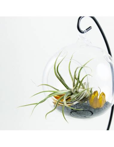 Terrario soporte metal