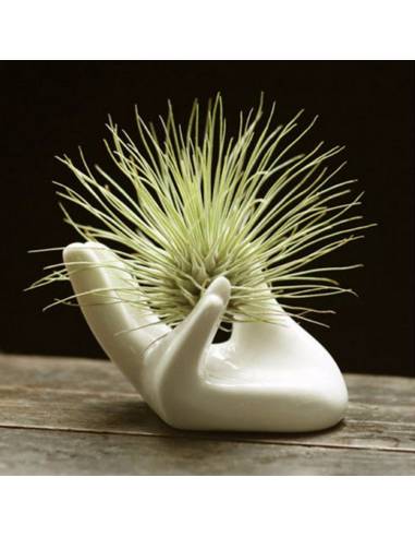 Mano cerámica 8 x 4.5 x 4.5 cm