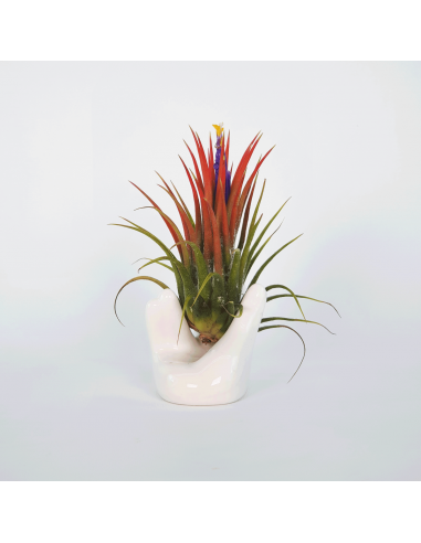 Ceramic hand 8 x 4.5 x 4.5 cm