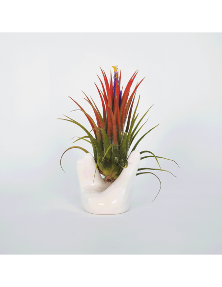 Ceramic hand 8 x 4.5 x 4.5 cm