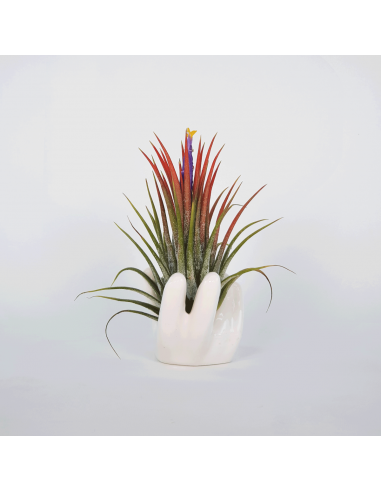 Ceramic hand 8 x 4.5 x 4.5 cm