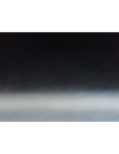 Tillandsia Mauryana  | Ecoterrazas.com