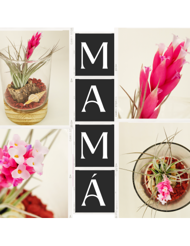 Composición Día de la Madre 5