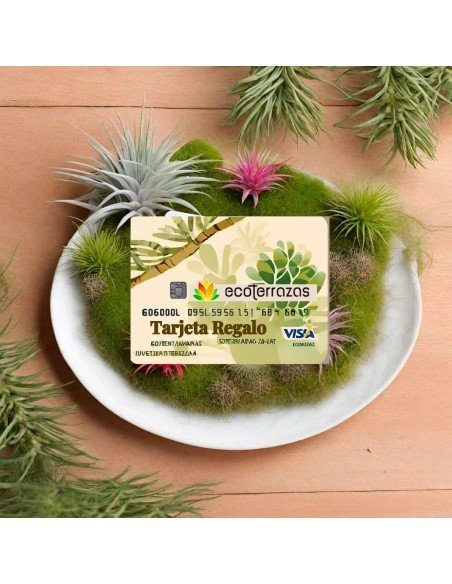 Tarjeta Regalo | Ecoterrazas.com