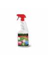 Fertilizante foliar para tillandsias 750 ml