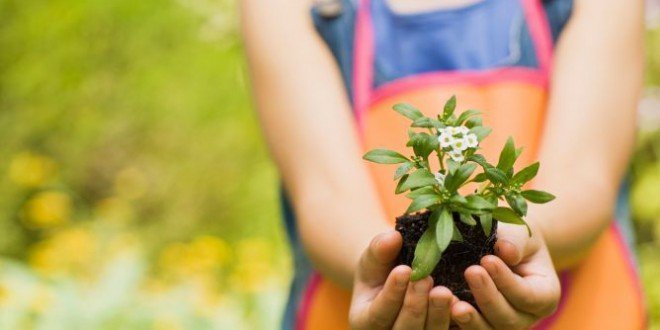 jardineria ninos